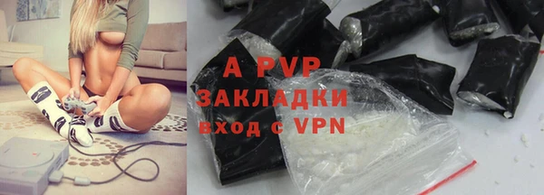 прущие грибы Михайлов