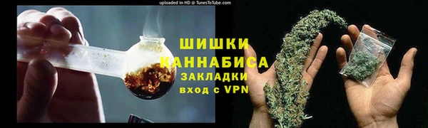 прущие грибы Михайлов