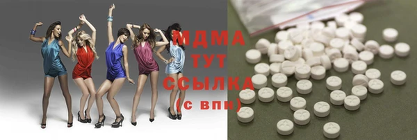 прущие грибы Михайлов