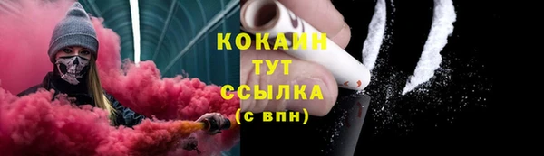 шишки Михайловка