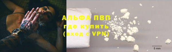 прущие грибы Михайлов