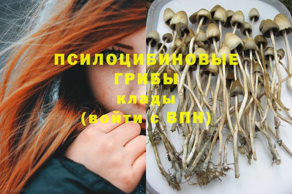 прущая мука Новодвинск