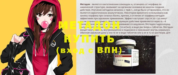 прущие грибы Михайлов