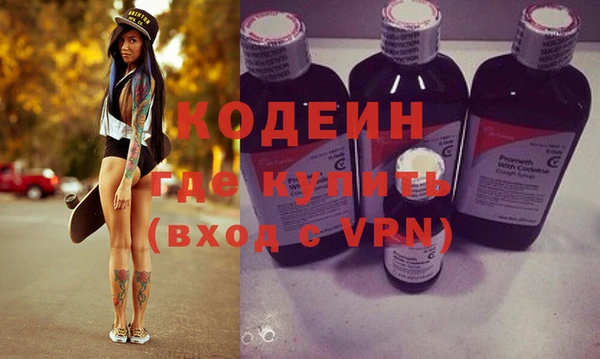 прущие грибы Михайлов