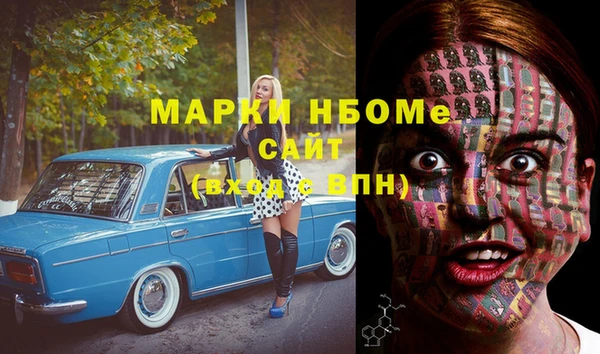 прущие грибы Михайлов