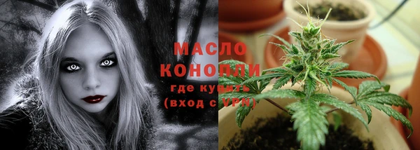 прущие грибы Михайлов