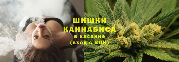 шишки Михайловка