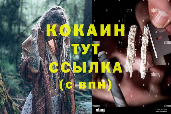прущие грибы Михайлов