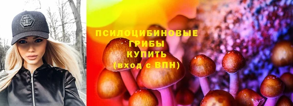 шишки Михайловка