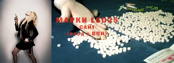 ECSTASY Михайловск