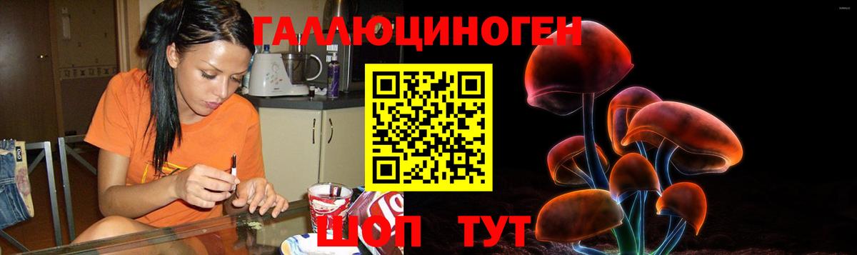 Галлюциногенные грибы мухоморы Березники